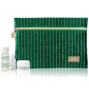 NWT ďMario Badescu Green and Gold Cosmetic Bag